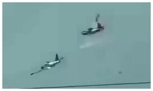 Philippines में ट्रेनिंग के दौरान हवा में टकराए वायुसेना के दो विमान, चारों पायलटों की मौत